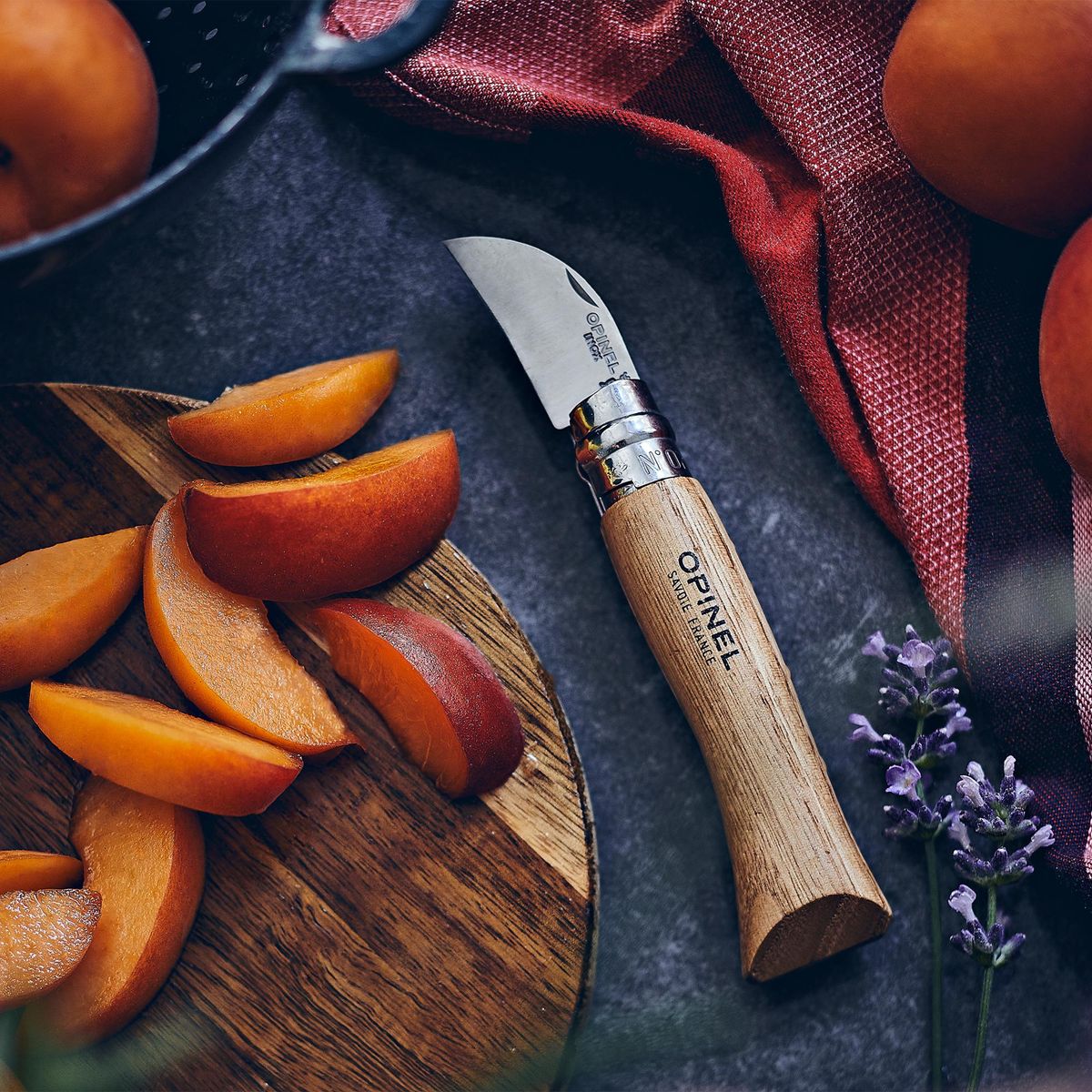 OPINEL - Cuchillo Opinel N°7 para castañas OPINEL