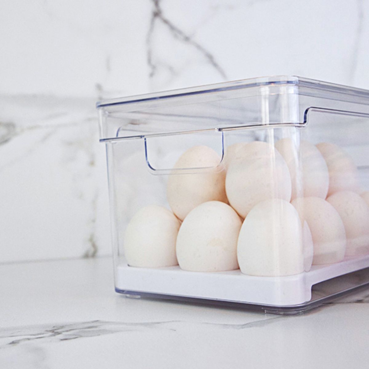 OU - Organizador de Huevos Clear Fresh 36 Un OU