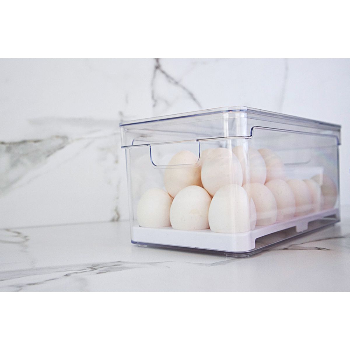 OU - Organizador de Huevos Clear Fresh 36 Un OU