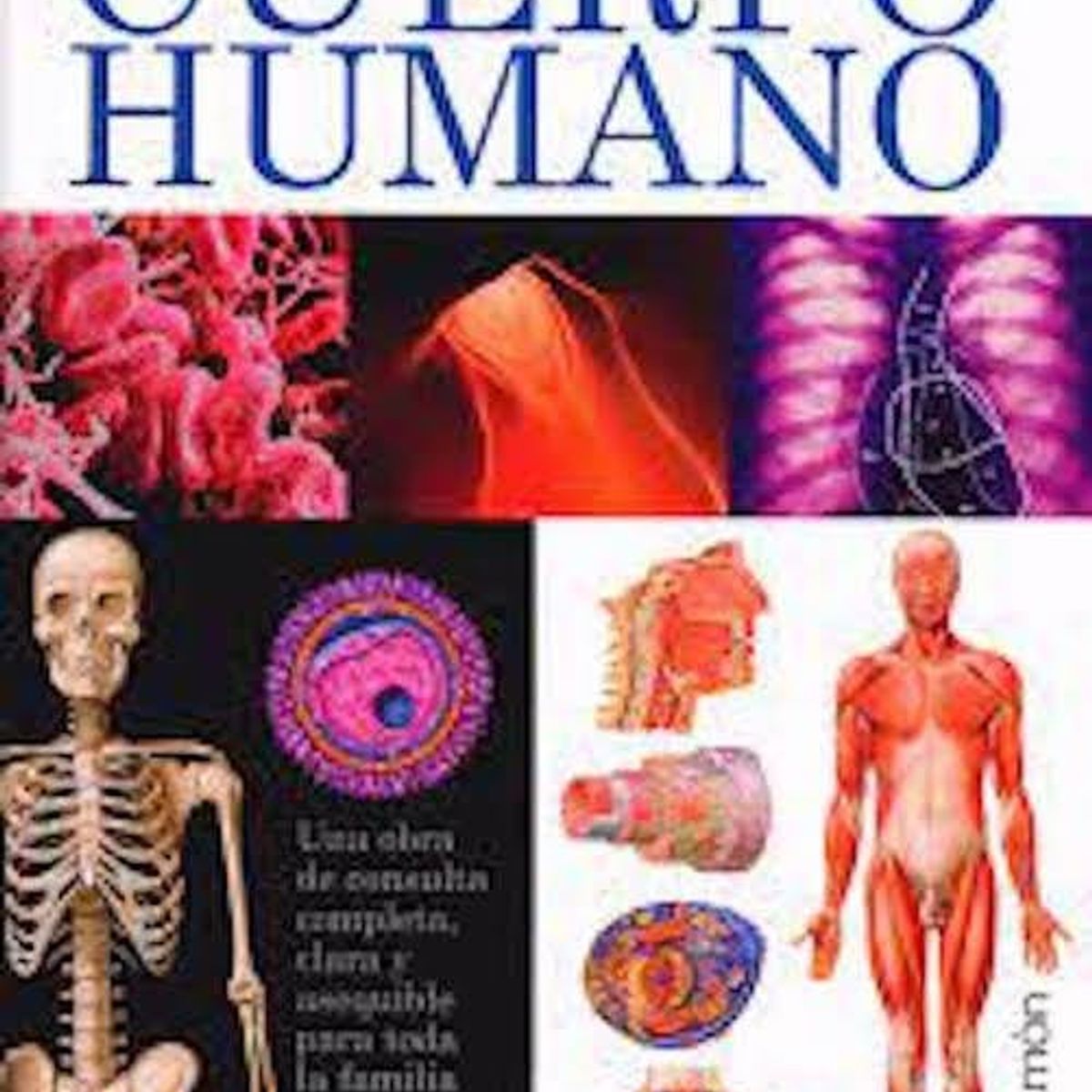 TOP10BOOKS - LIBRO El Gran Libro Del Cuerpo Humano - El Gran Libro Del Cuerpo Humano