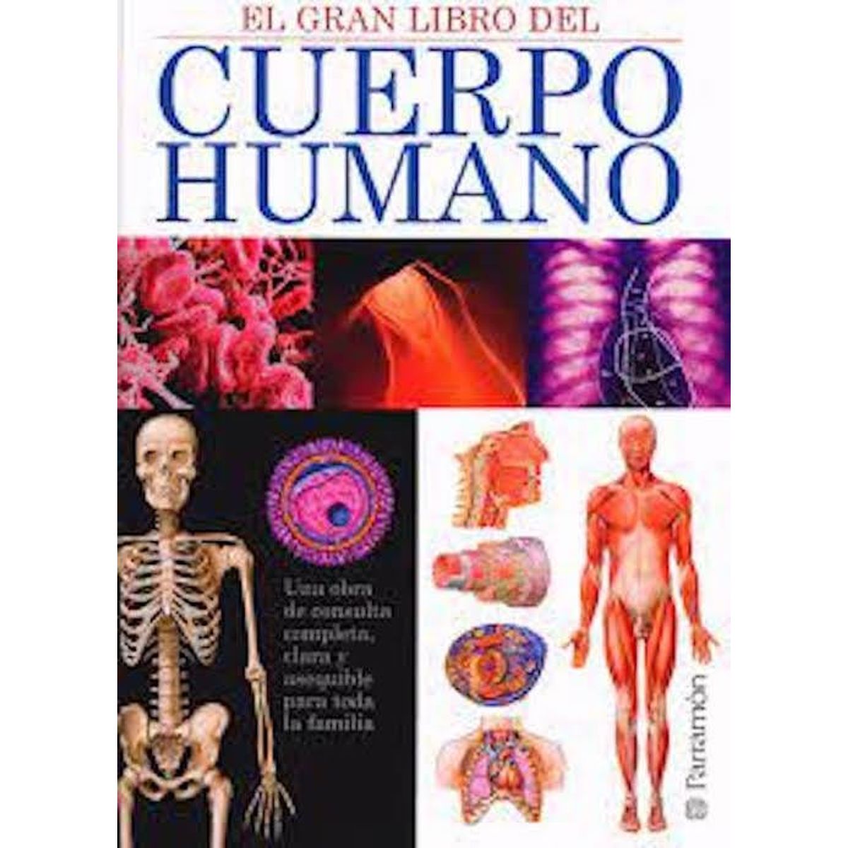 TOP10BOOKS - LIBRO El Gran Libro Del Cuerpo Humano - El Gran Libro Del Cuerpo Humano