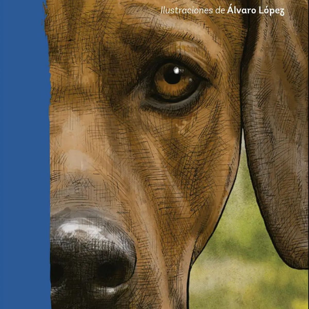 TOP10BOOKS - LIBRO Jim - Jim