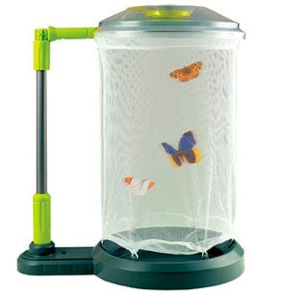 SEIGARD - Medio Ambiente De La Mariposa 5 Und. EL109 Color Variado