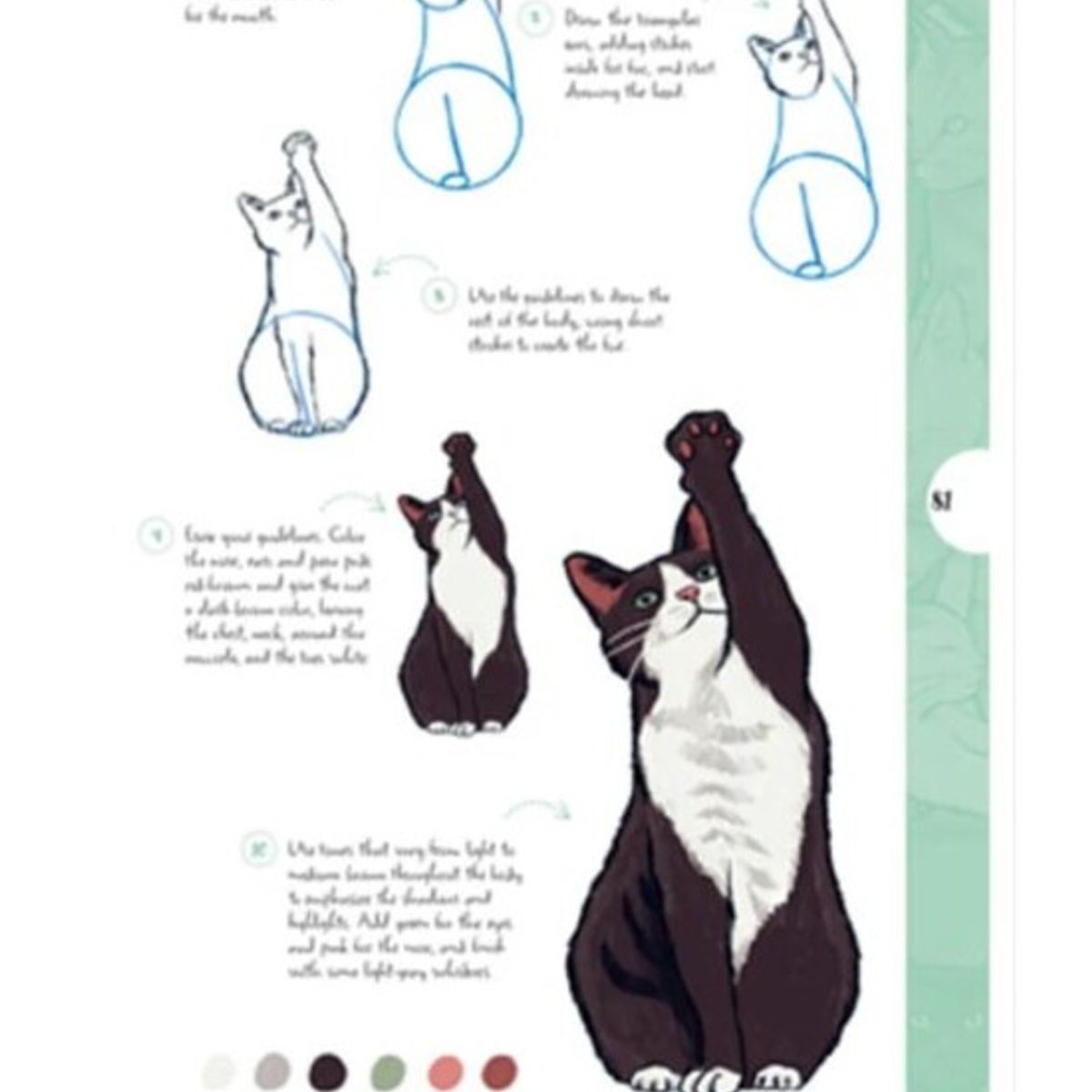 EDITORIAL CONTRAPUNTO - Dibujar En 10 Pasos - Gatos