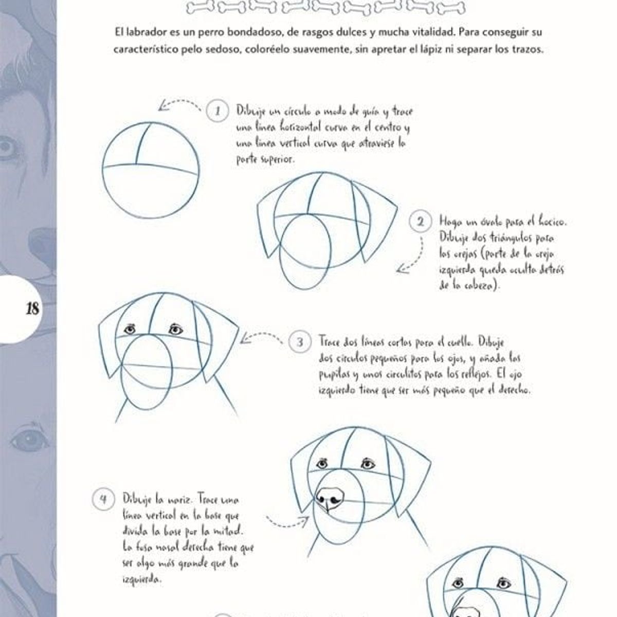 EDITORIAL CONTRAPUNTO - Dibujar En 10 Pasos - Perros