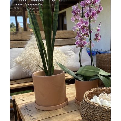 Imagen 2 del producto MACETERO TERRACOTA CILINDRO S