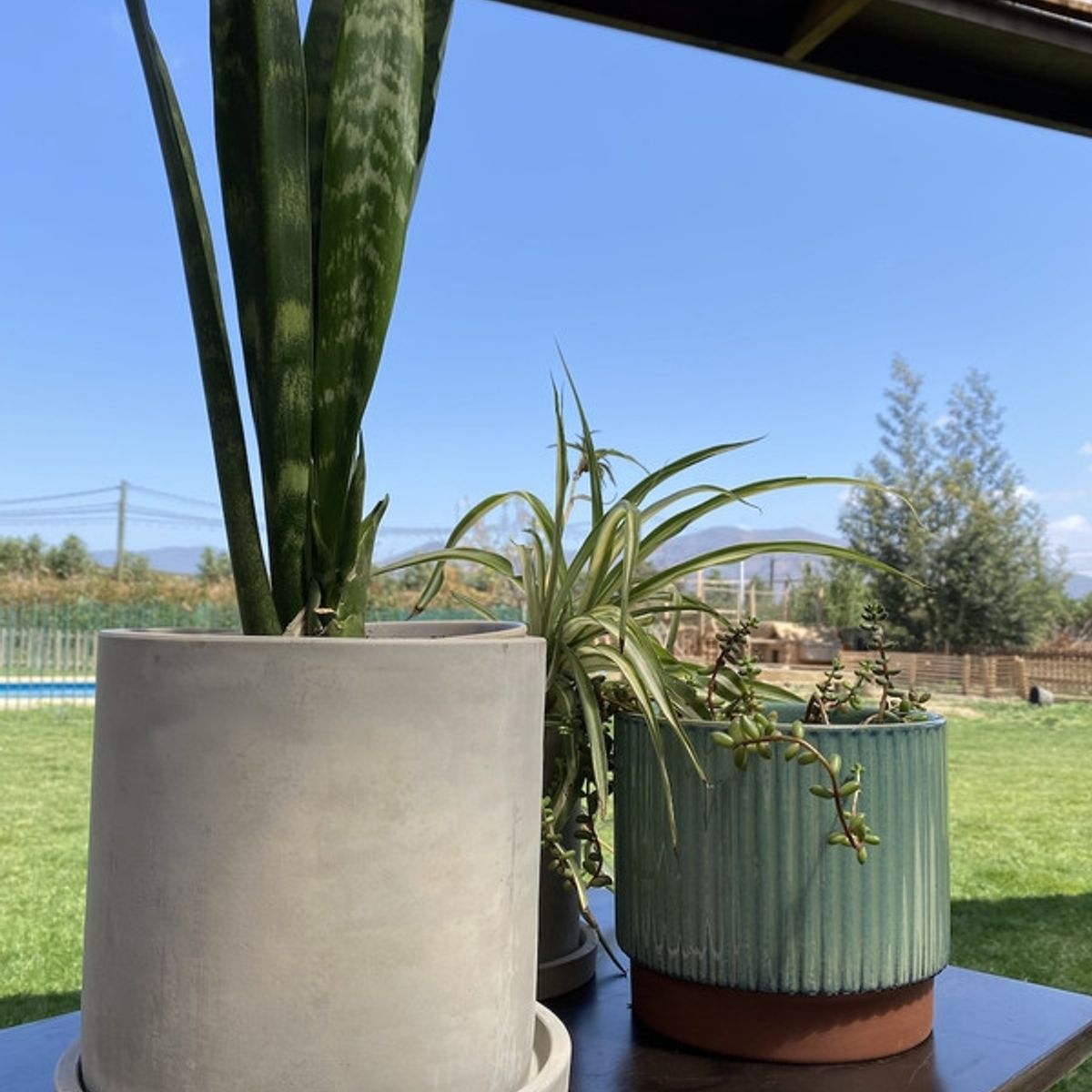 DECOGREEN - MACETERO Y PLATO CEMENTO CILINDRO S