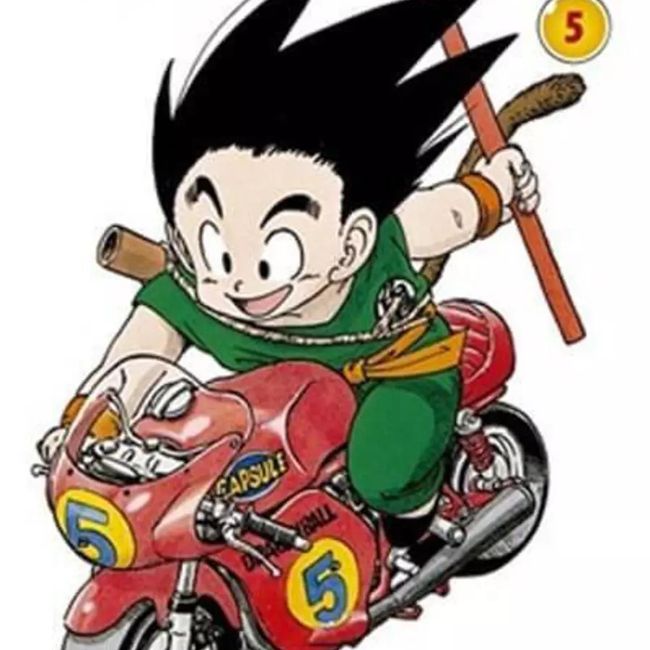 PANINI - Dragon Ball - Tomo Número 5