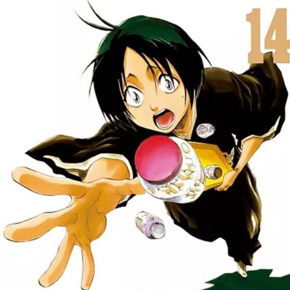 PANINI - Bleach Tomo Número 14