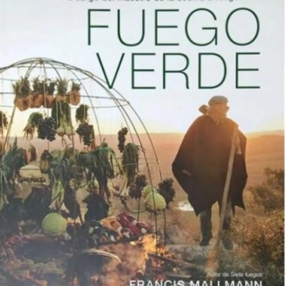 TOP10BOOKS - LIBRO Fuego Verde - Fuego Verde