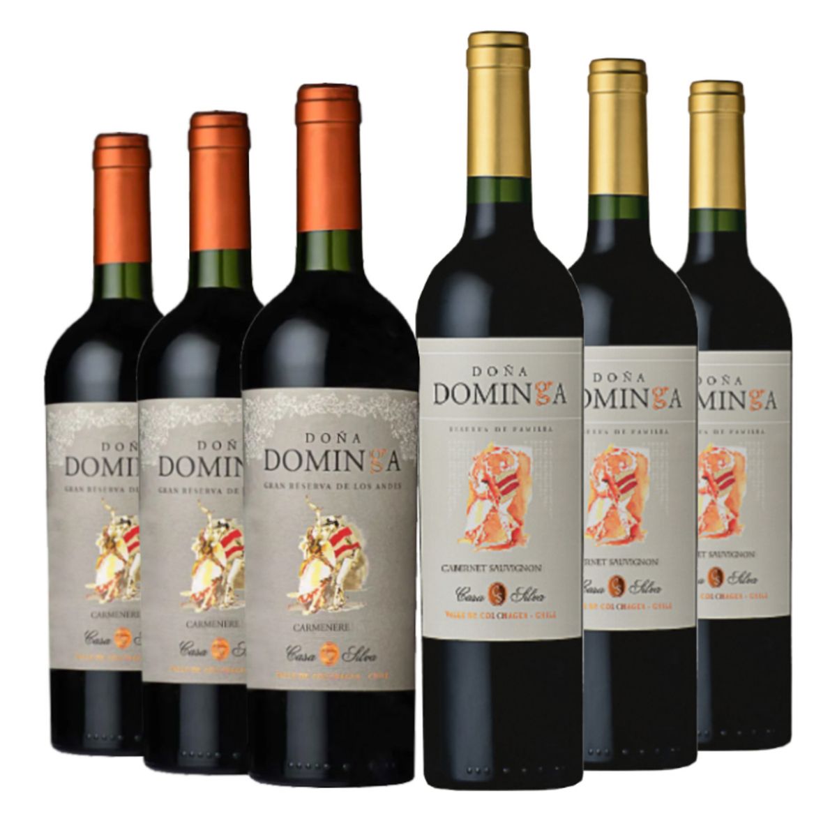 DOÑA DOMINGA - 6 Vinos Parrillero Dominga, 3 G Rva Ca + 3 Rva Cs