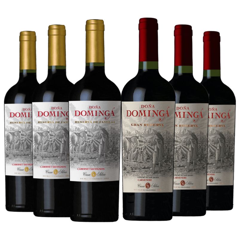 DOÑA DOMINGA - 6 Vinos Doña Dominga: 3 Gran Rva. Ca + 3 Reserva Cs