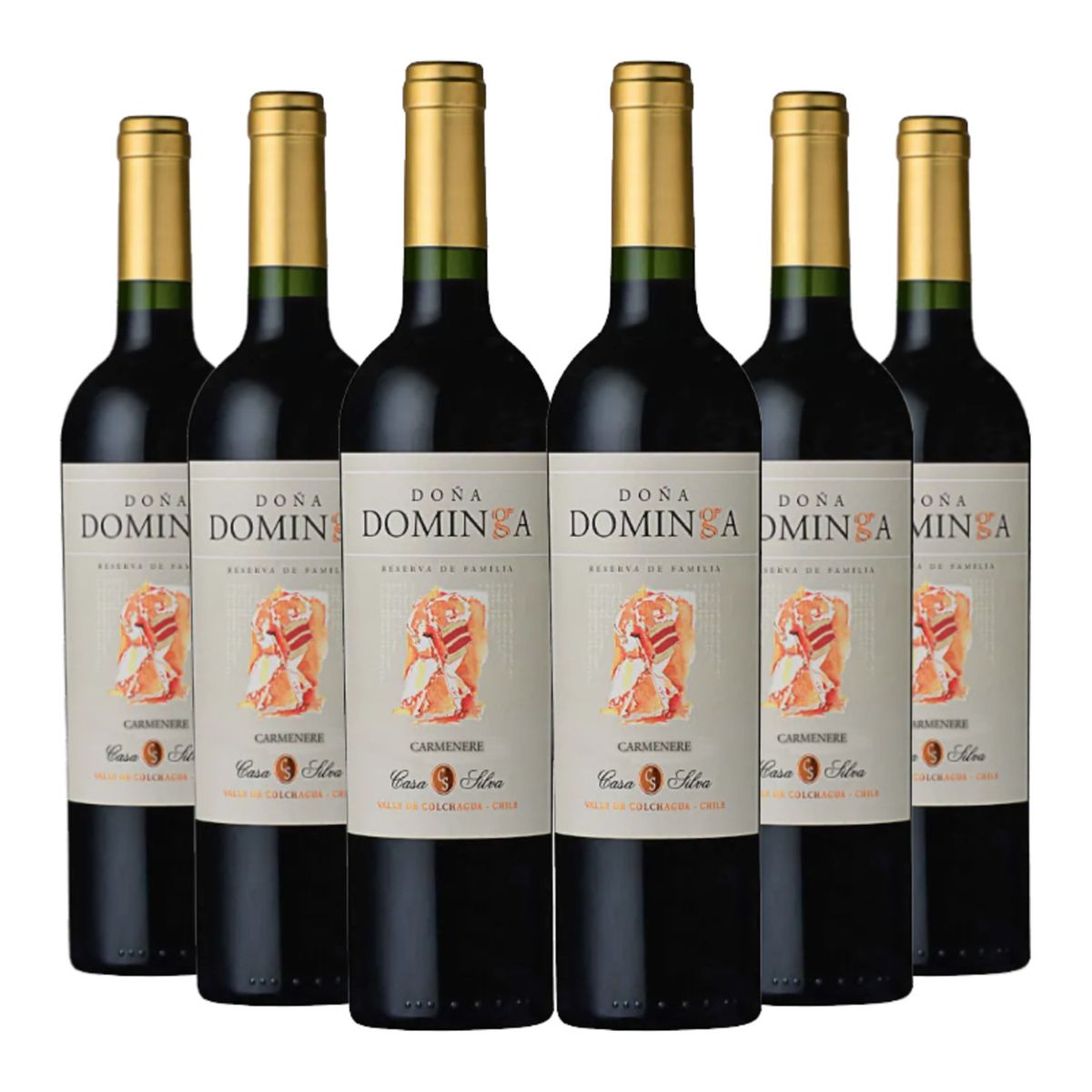 DOÑA DOMINGA - 6 Vinos Doña Dominga Reserva De Familia Carmenere
