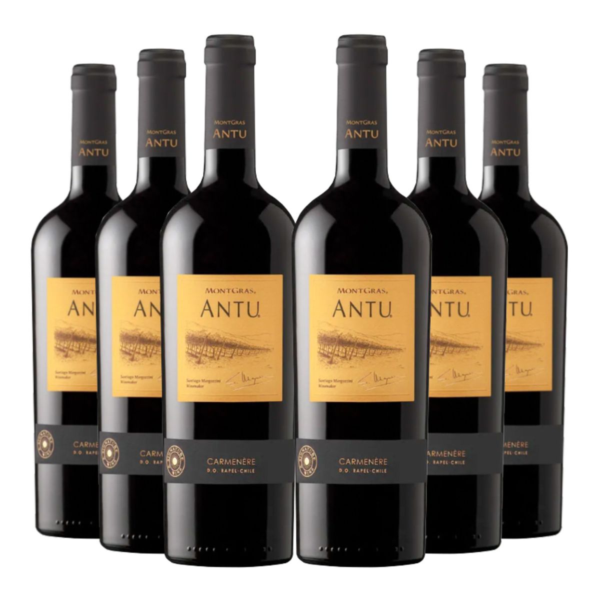 MONTGRAS - 6 Vinos Montgras Antu Carmenere