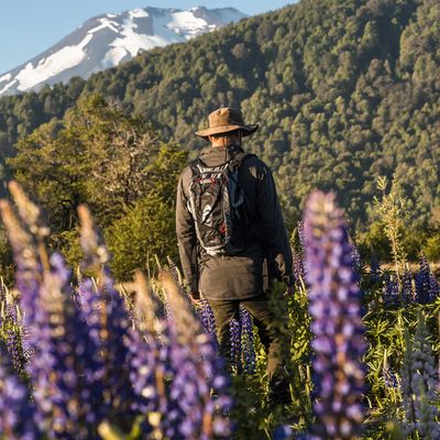 Imagen 2 del producto Mochila Outdoor / Mochila Laguna Galletue