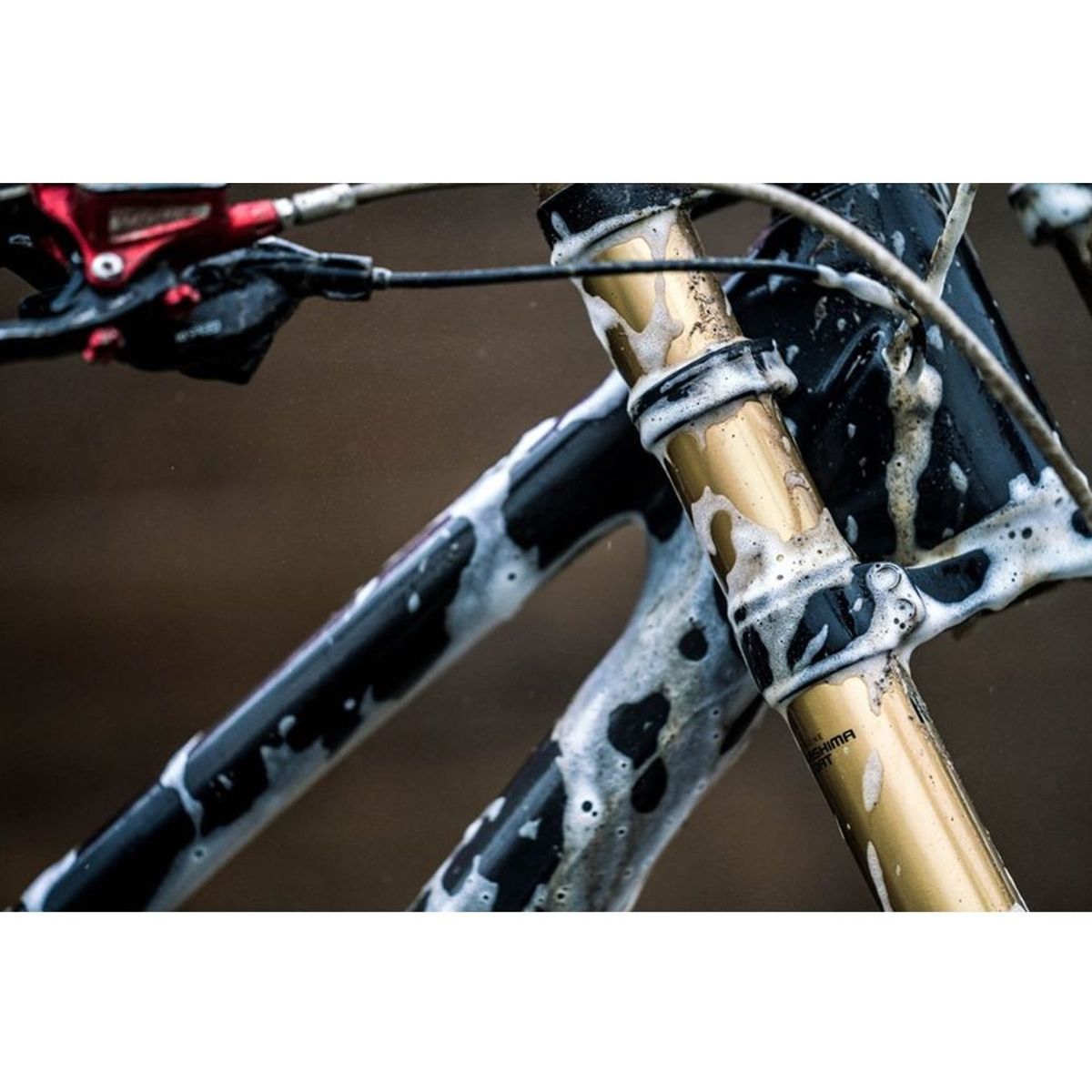 PEATYS - Detergente Bicicleta Concentrado Biodegradable 1 Litro Peaty´s PEATYS