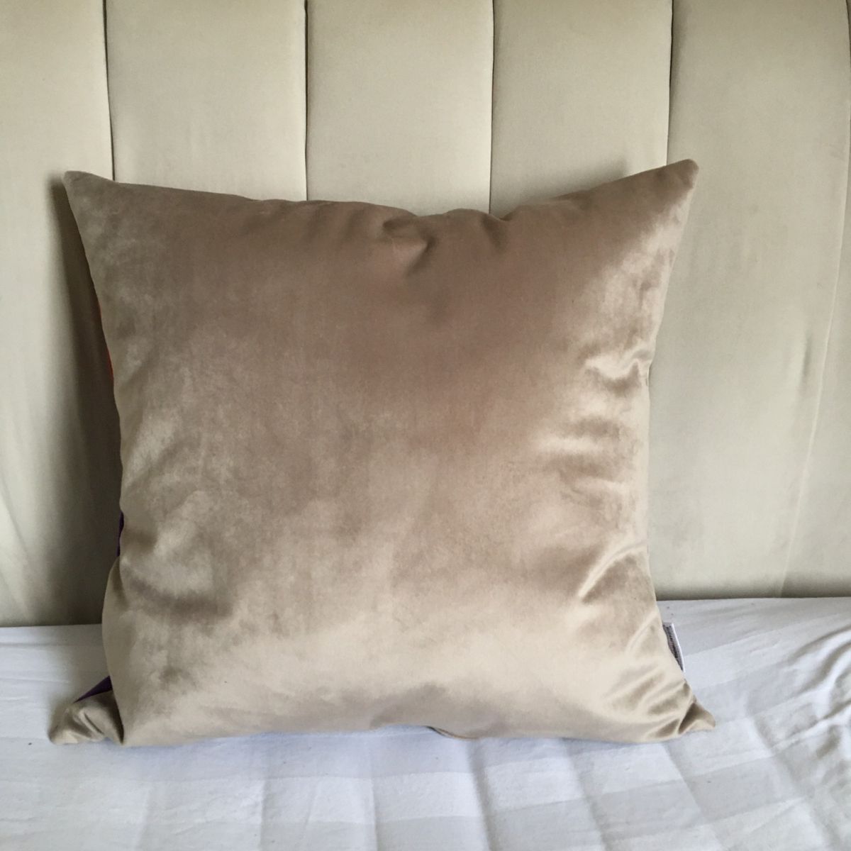 ELIZABETH PEPER - COJIN DECORATIVO DISEÑO SUAVE BEIGE 50x50 RELLENO.