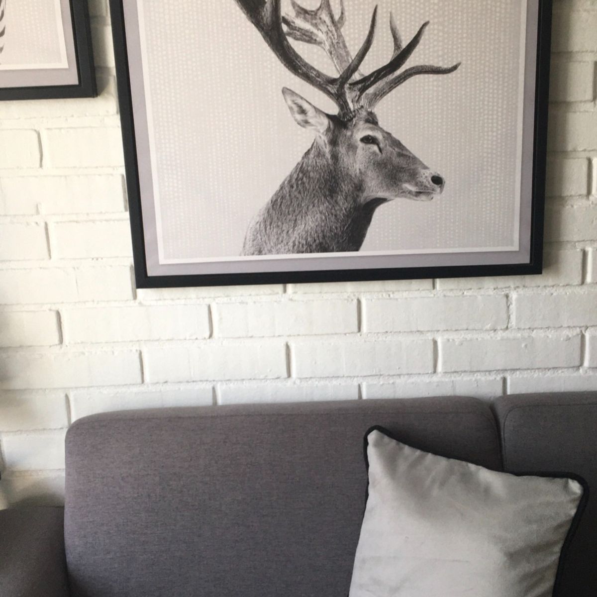 ELIZABETH PEPER - FUNDA COJIN DECORATIVO DISEÑO GRIS BORDE NEGRO 60x60.