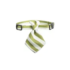 PIDAN - Cuello Corbata Para Gato Olivo - Pidan®