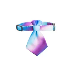 PIDAN - Cuello Corbata Para Gato Gradiente Azul - Pidan®