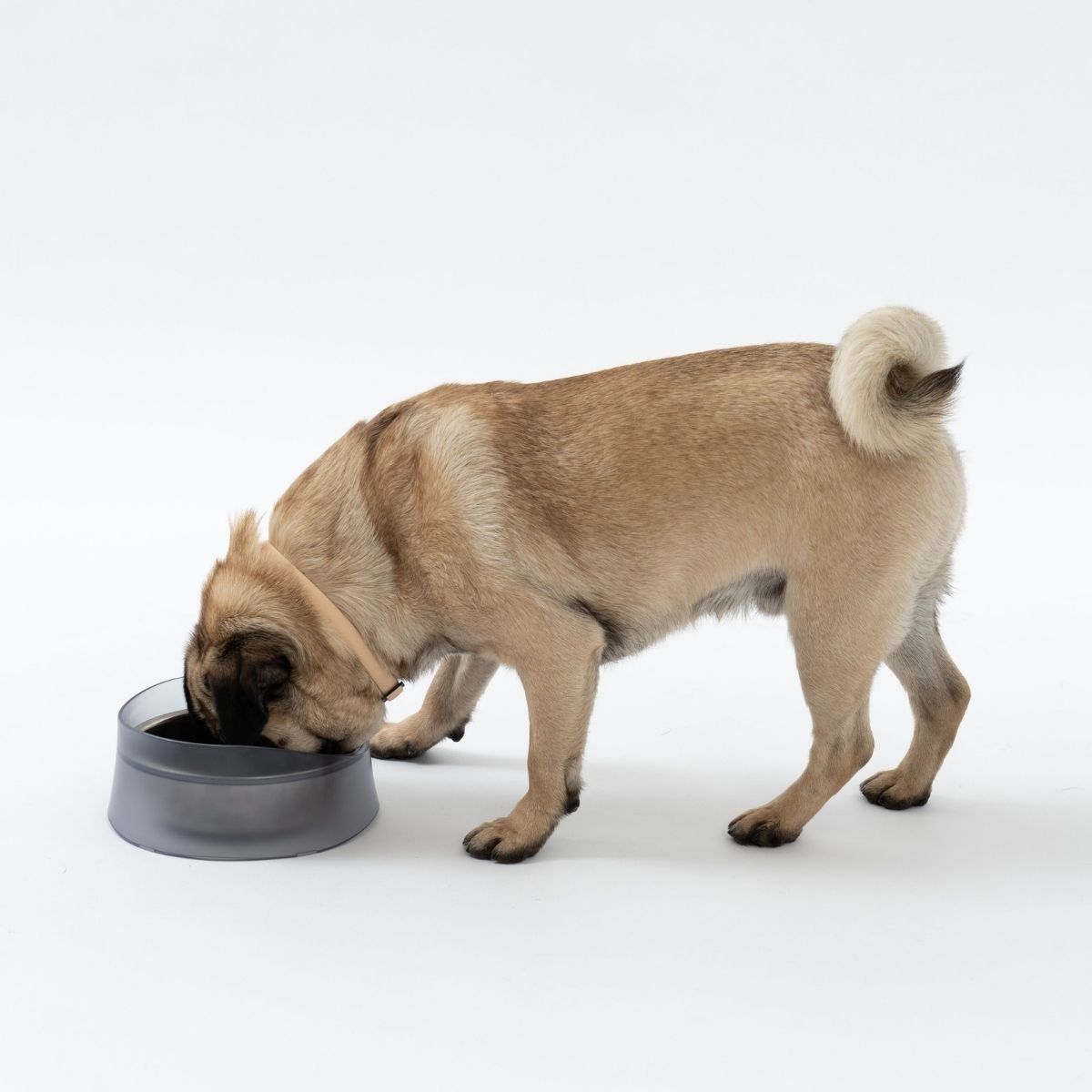 PIDAN - Pidan® Plato Volcano Acero Inoxidable Para Perros Y Gatos