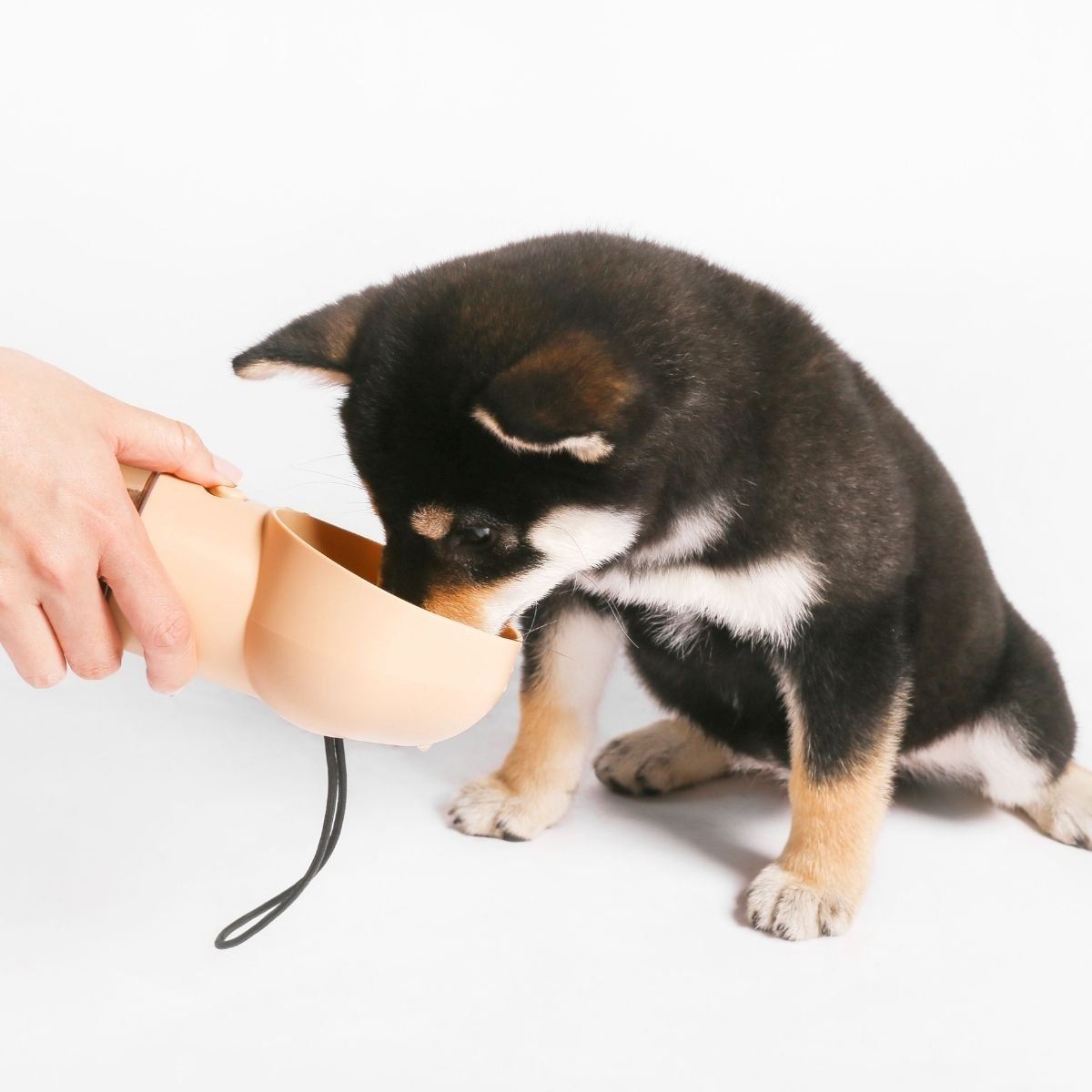 PIDAN - Pidan® Botella Portátil Para Mascotas Con Dispensador Agua