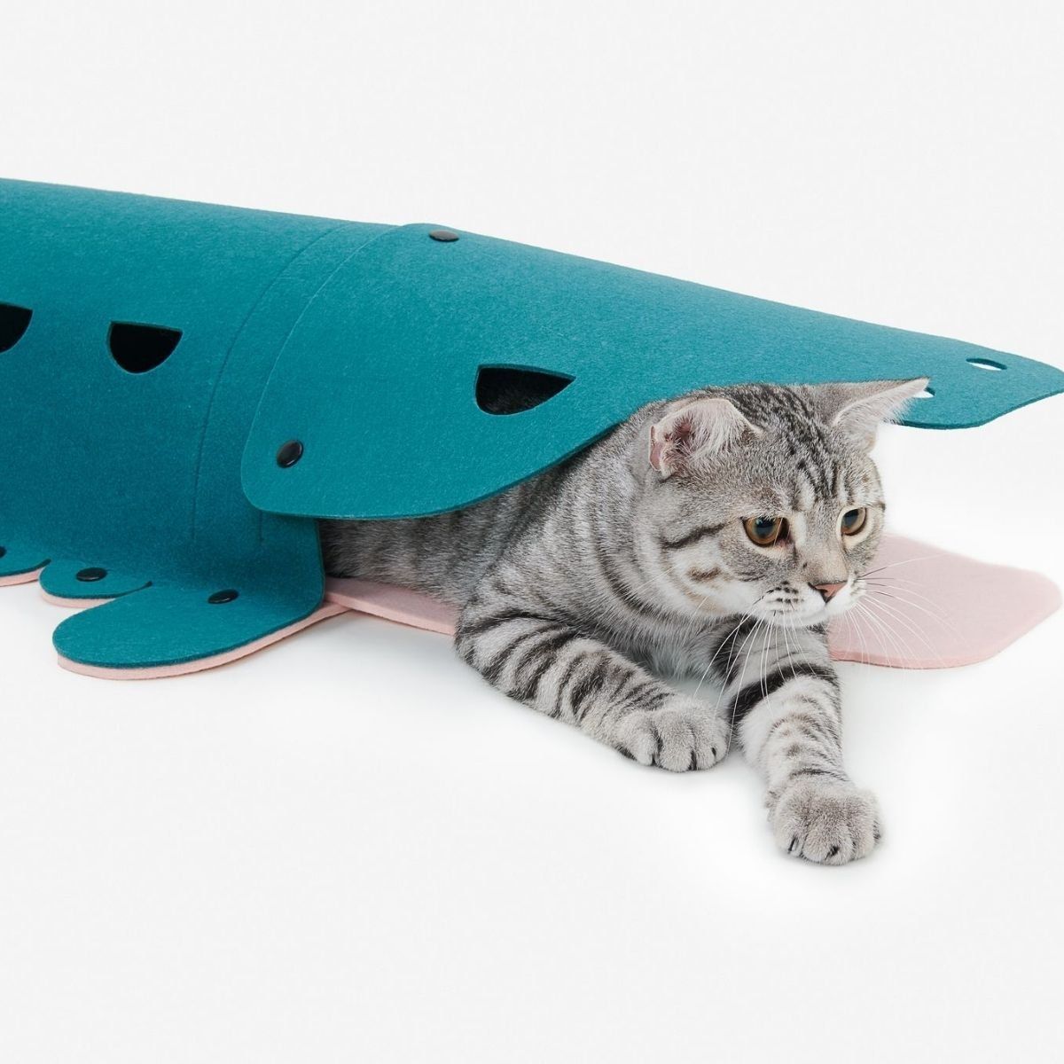 PIDAN - Pidan® Túnel Para Gato Diseño Cocodrilo Interactivo Y Seguro