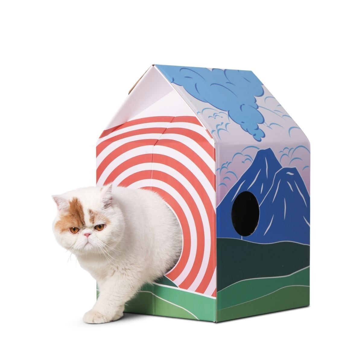 PIDAN - Pidan® Rascador Para Gato Durable Y Divertido Antideslizante