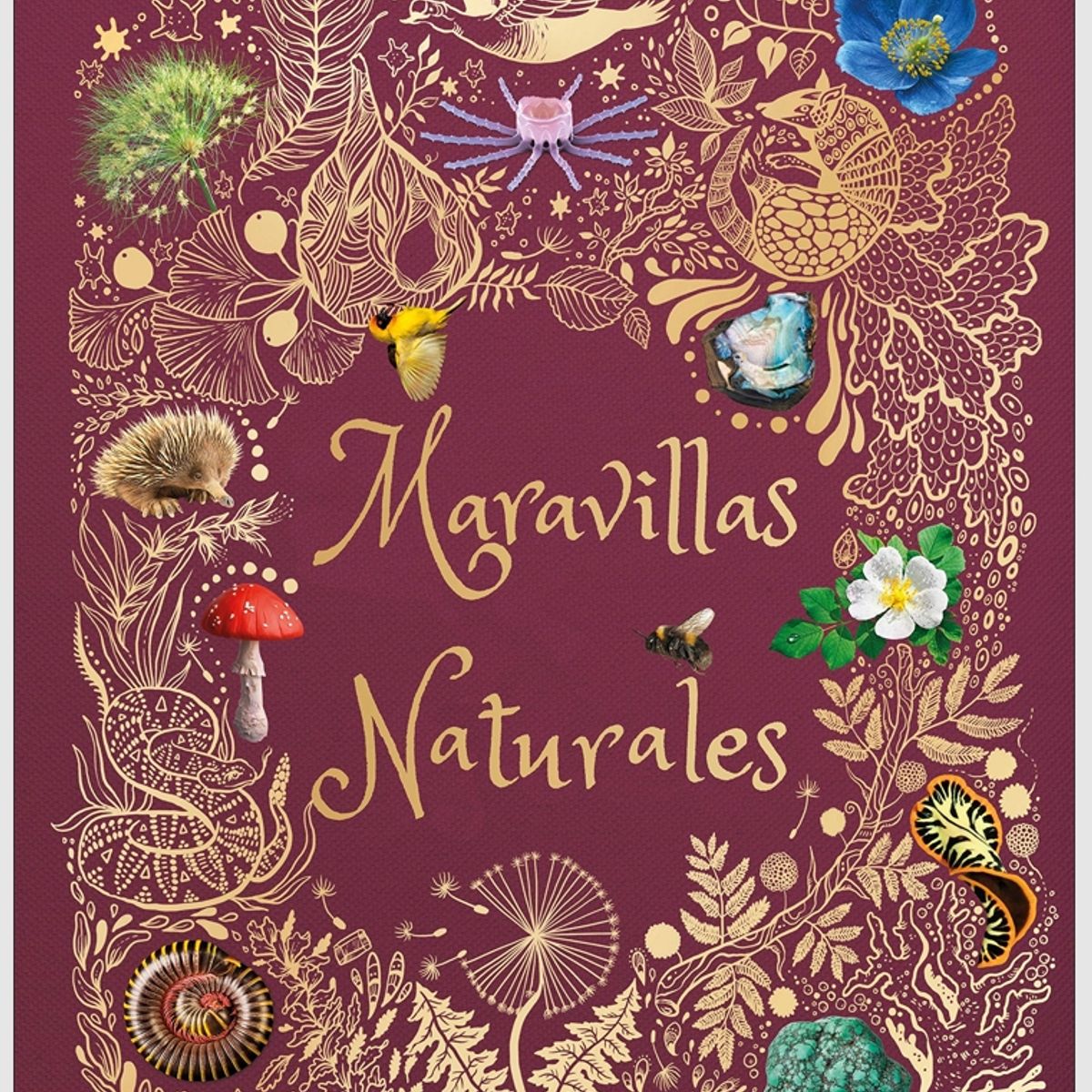 EDITORIAL DK - Dk Enciclopedia Maravillas Naturales