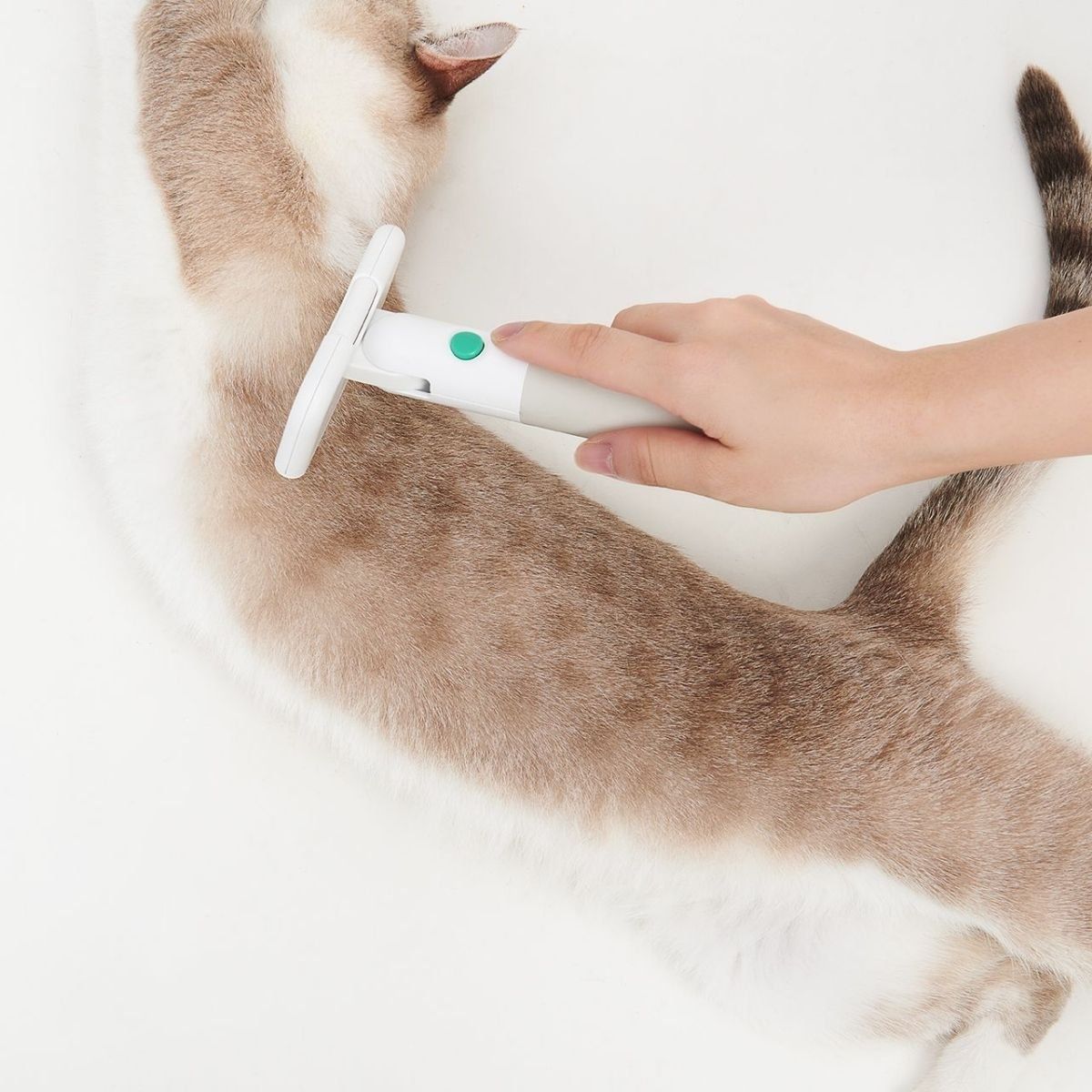 PIDAN - Pidan® Cepillo para Mascotas  Desenredador Corto y Largo