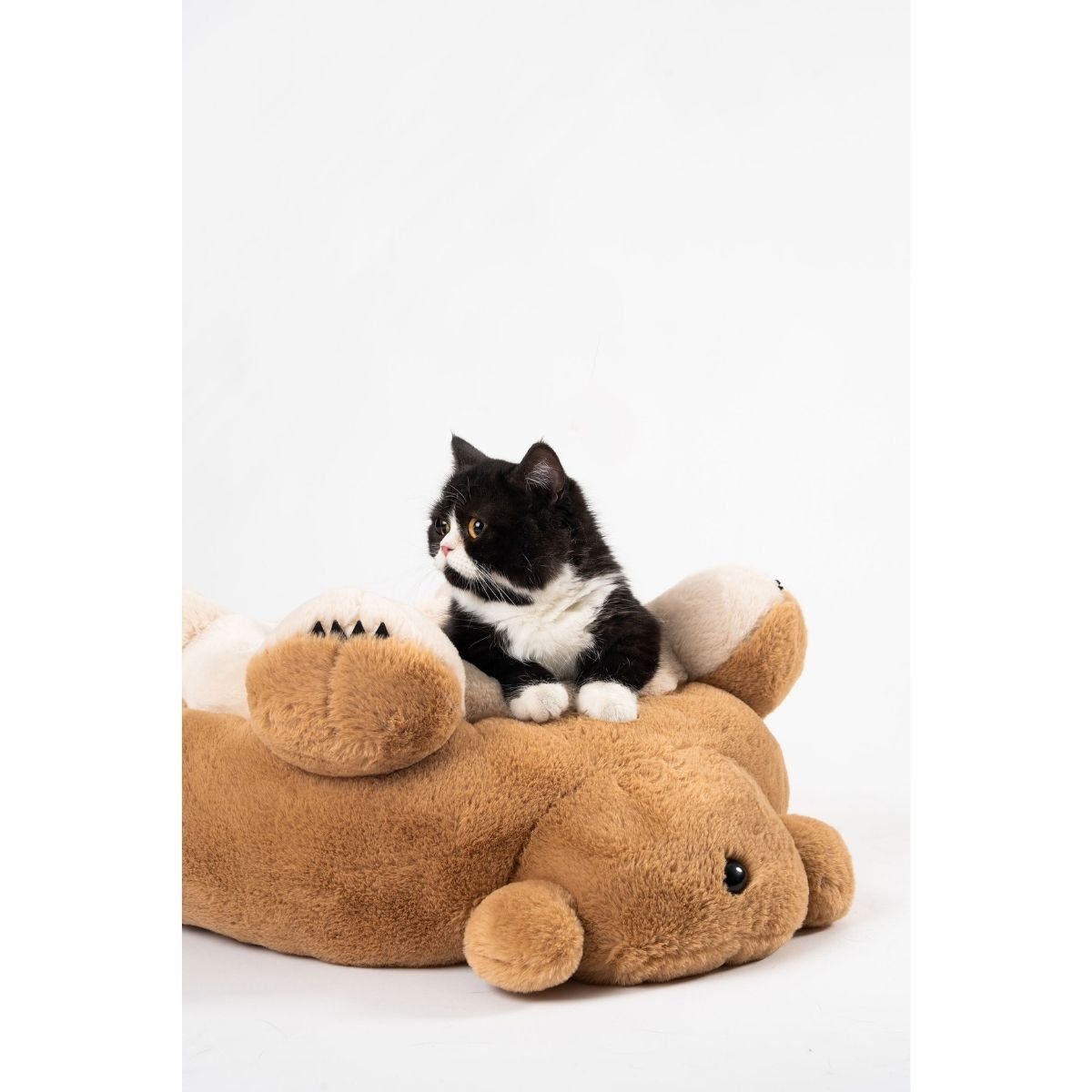 PIDAN - Pidan® Cama Para Mascotas Tipo Nido Diseño Papa Oso Pequeñas