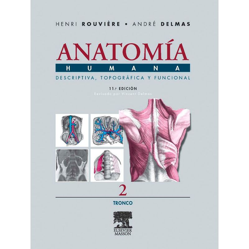 EDITORIAL MEDITERRANEO - Libro Anatomia Humana 2 11e: Tronco