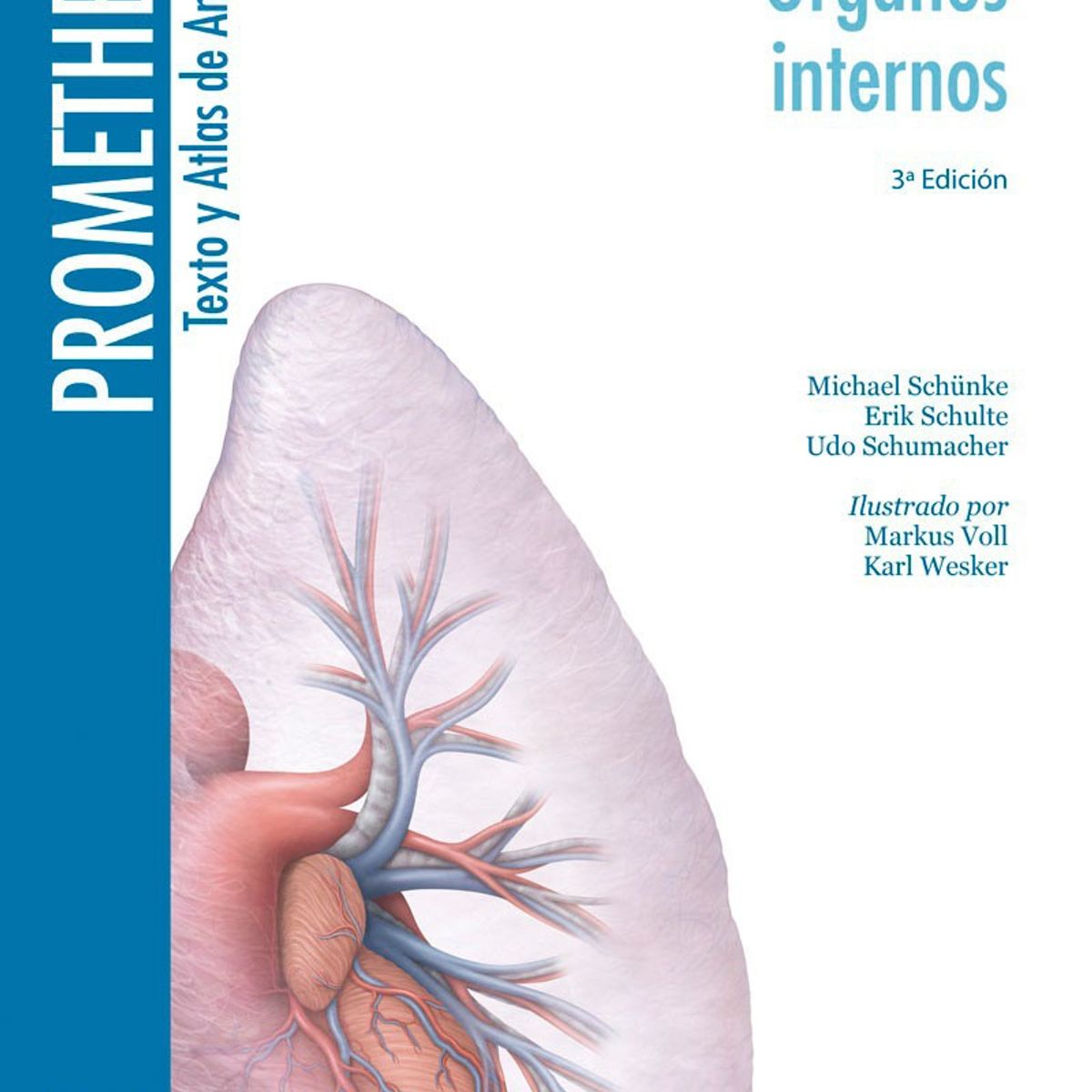 EDITORIAL MEDITERRANEO - Libro Texto Y Atlas De Anatomia 3e T2: Organos Internos