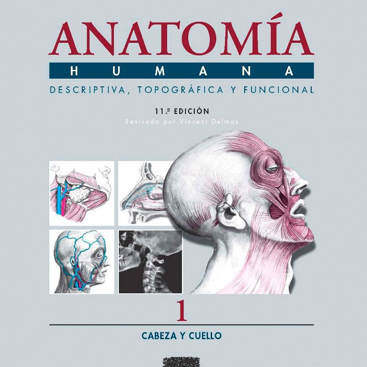 EDITORIAL MEDITERRANEO - Libro Anatomía Humana 1 11e: Cabeza Y Cuello