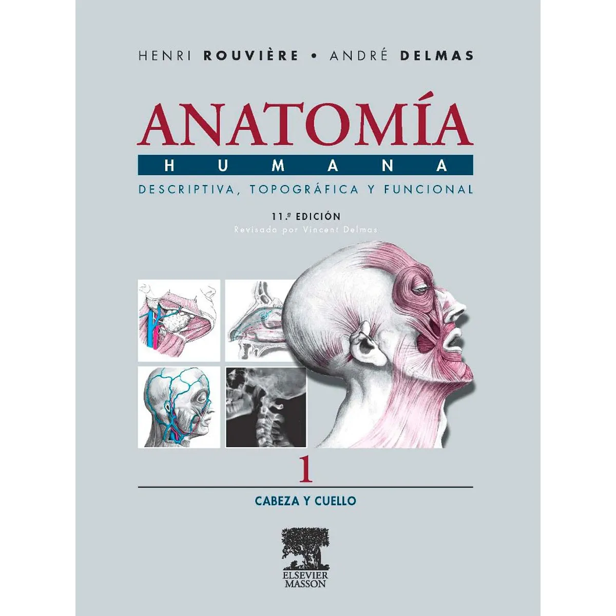 EDITORIAL MEDITERRANEO - Libro Anatomía Humana 1 11e: Cabeza Y Cuello