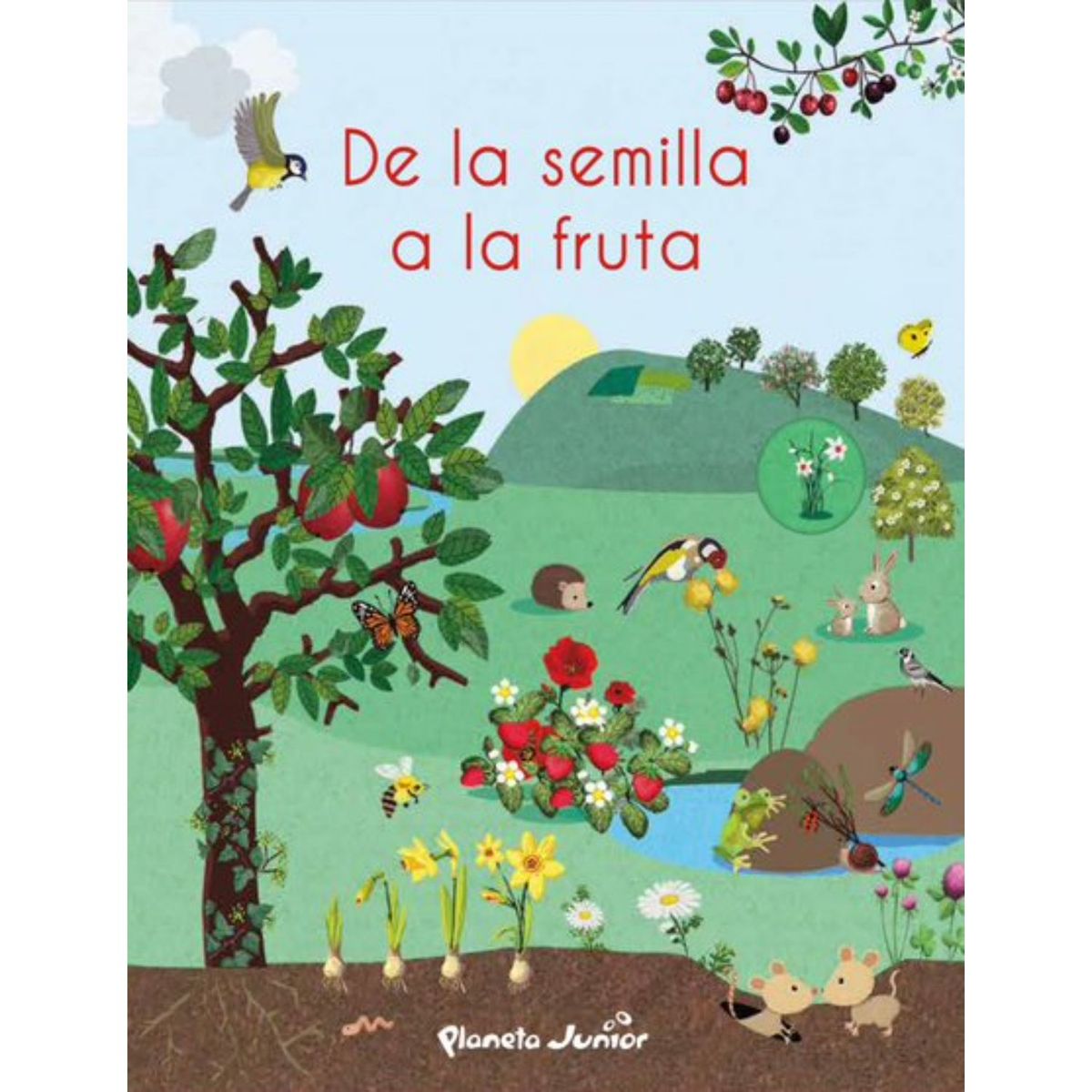 PLANETA JUNIOR - De La Semilla A La Fruta