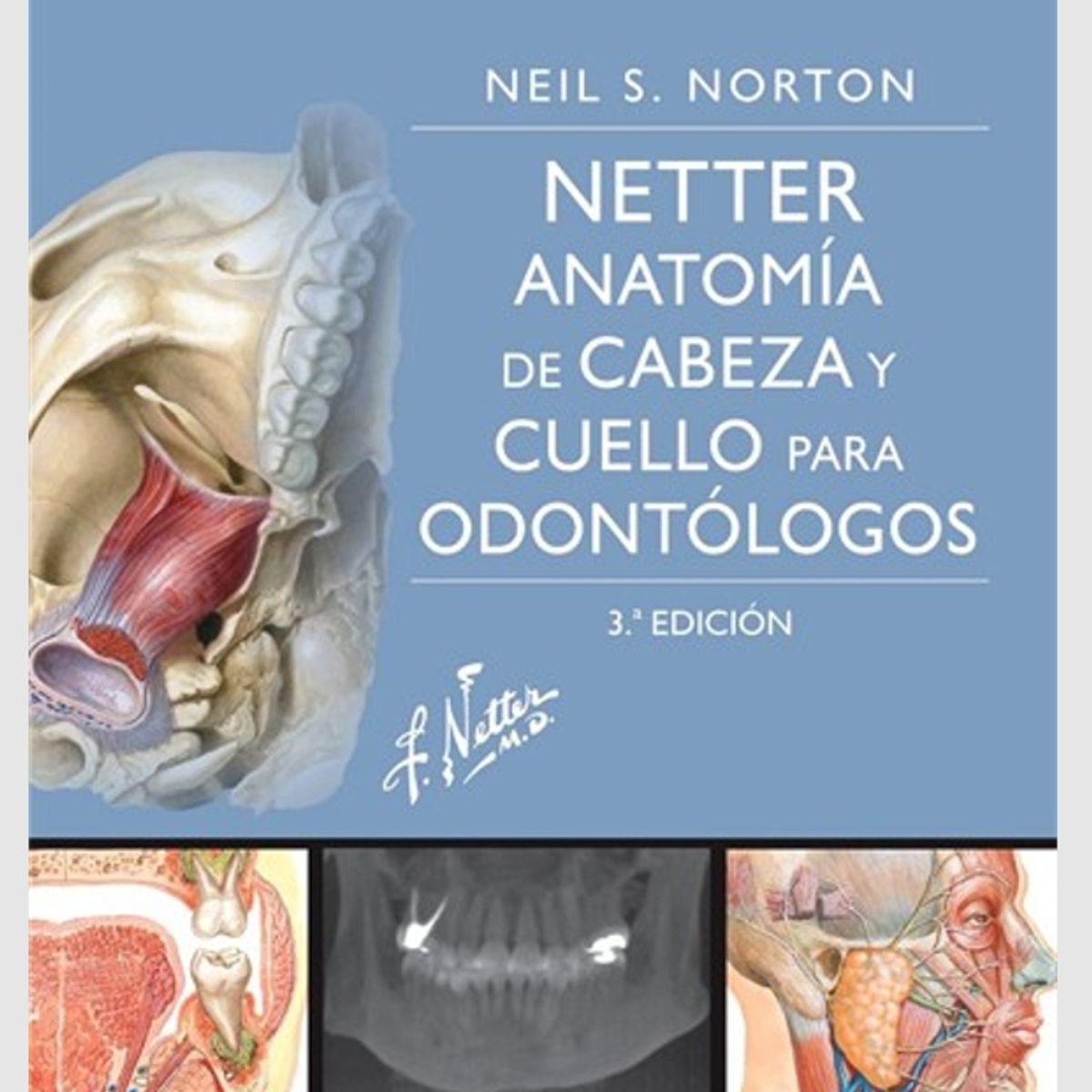 EDITORIAL MEDITERRANEO - Libro Netter. Anatomia Cabeza Y Cuello Para Odontologos. 3ª