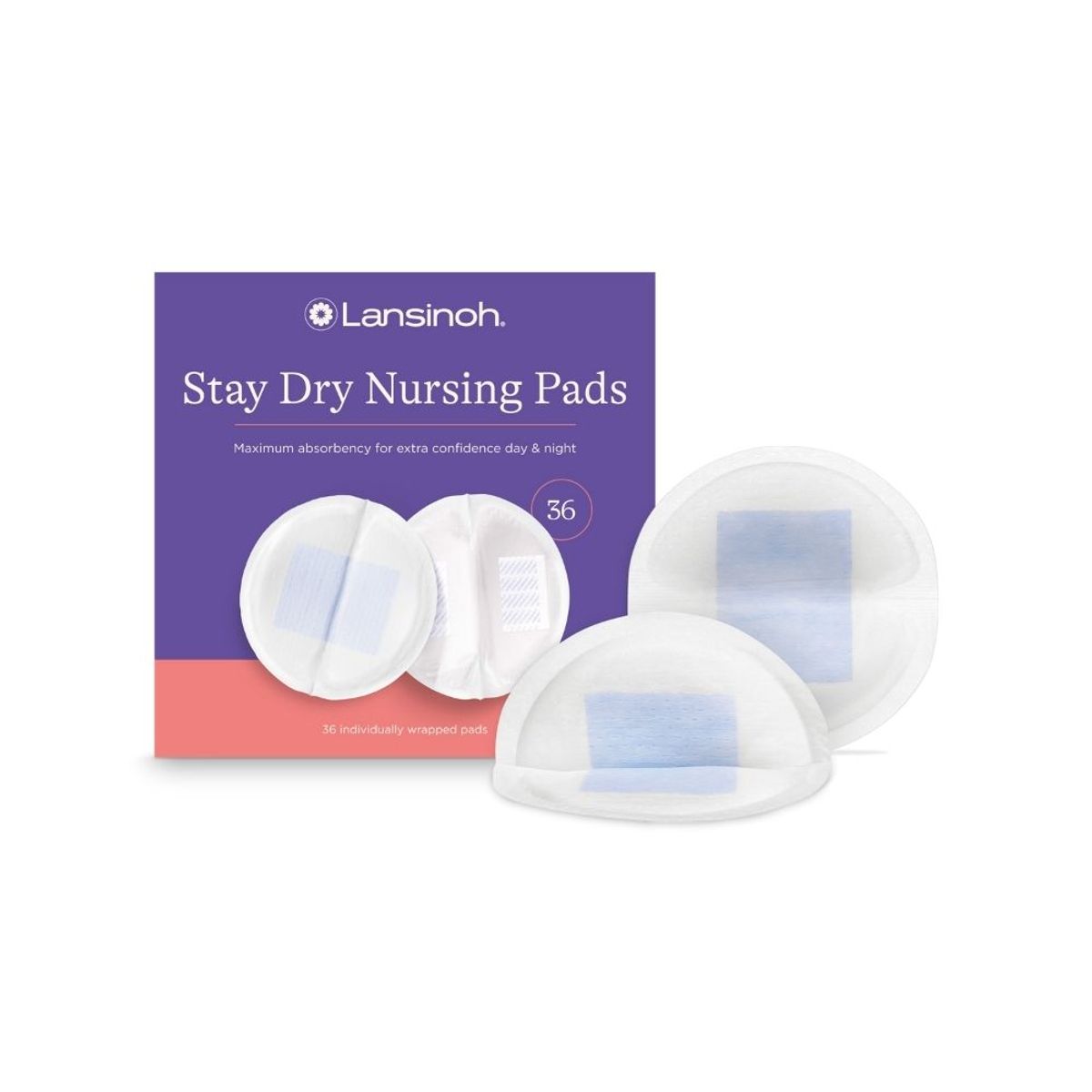 LANSINOH - Absorbente de leche desechable Stay Dry, 36 unid.