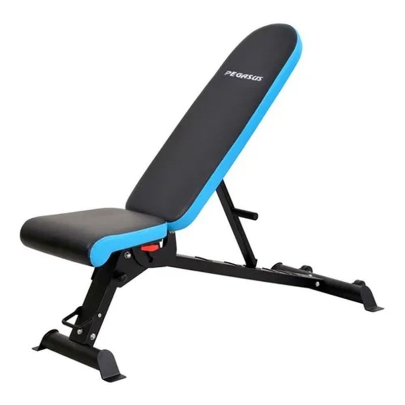 SDFIT - Banco Pegasus 10 Posiciones Plegable JX-509G