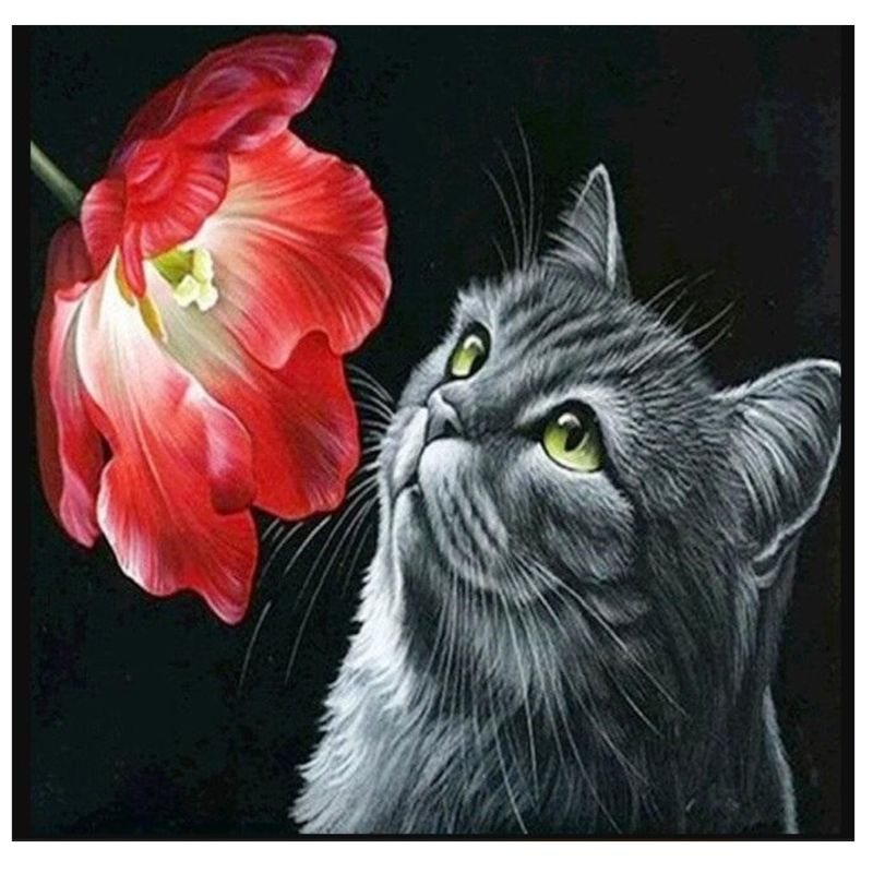 FUN AT HOME LO DIVERTIDO DE ESTAR EN CASA - Diamond Painting Gato y flores roja 30x30