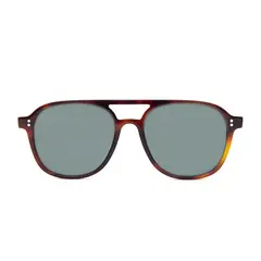 INZTINTO - Lente de sol George Tortoise-