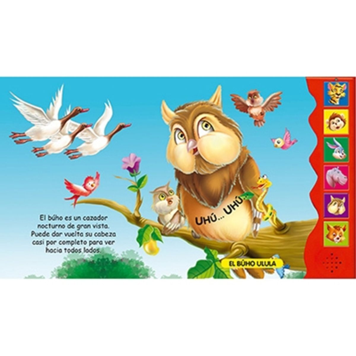 LATINBOOKS - Zoonidos Animales Salvajes