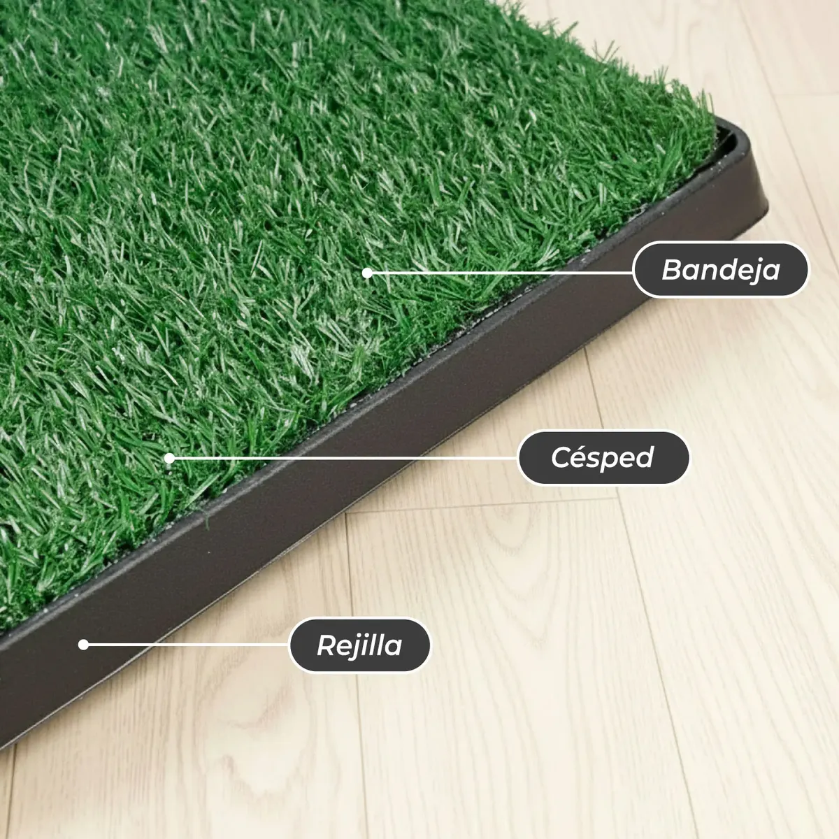 LITTLE PETS - Baño Ecologico Mascota Grande XXL Perro Lavable