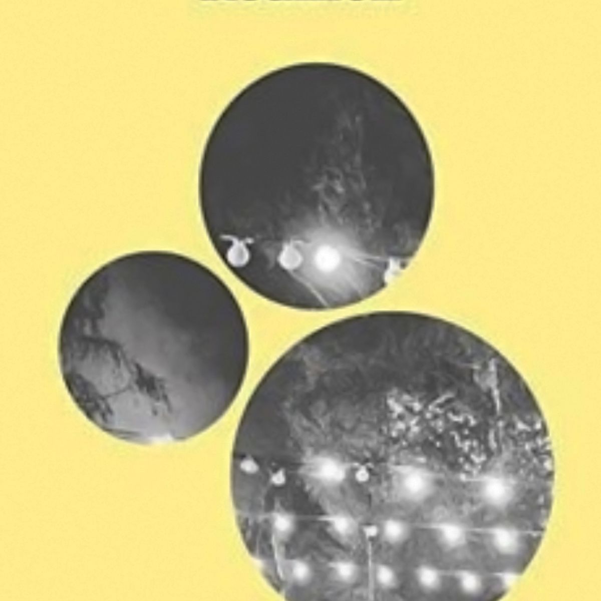 TOP10BOOKS - LIBRO Reunion - Reunion