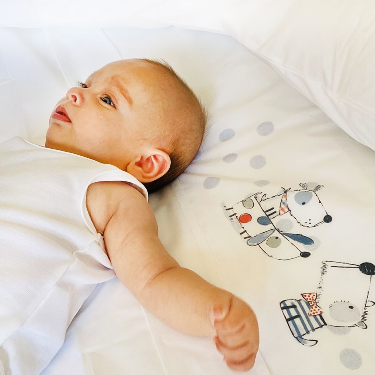 TUYO PRINT - Set Cuna Pack and Play Dogs - Tuyo Print