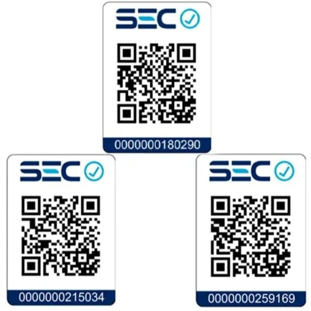 GAMA - Tricombo Gama Secador 2300 W + Alisador Cerámica + Rizador Mano Silver