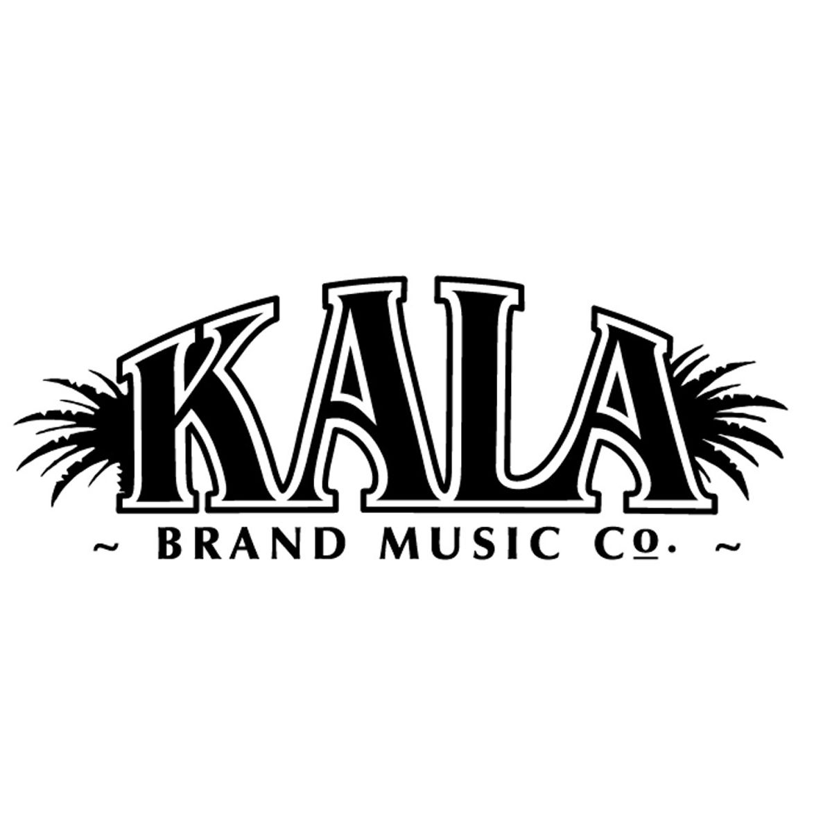 KALA - Afinador Recargable Kala Klipz. KK-R-BLK