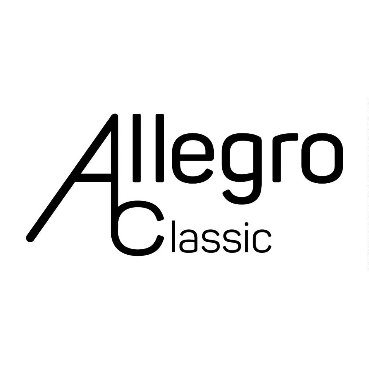 ALLEGRO - Metalófono Diatónico 8 Tonos Steel Color Call8