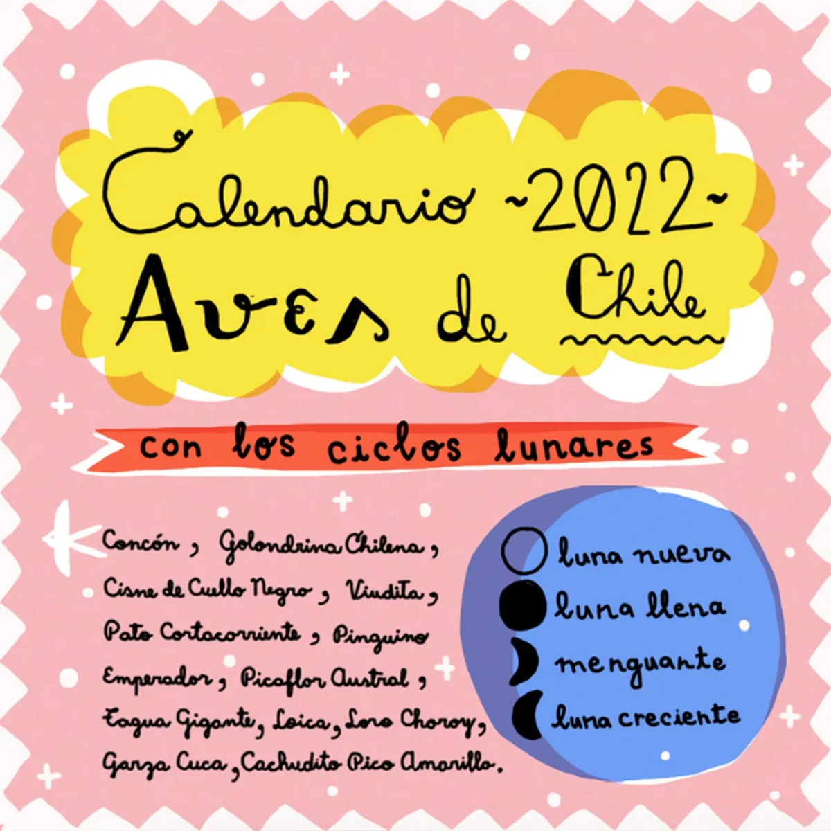 PAJARITO DE MIMBRE - Calendario 2022 Aves Pajarito de Mimbre