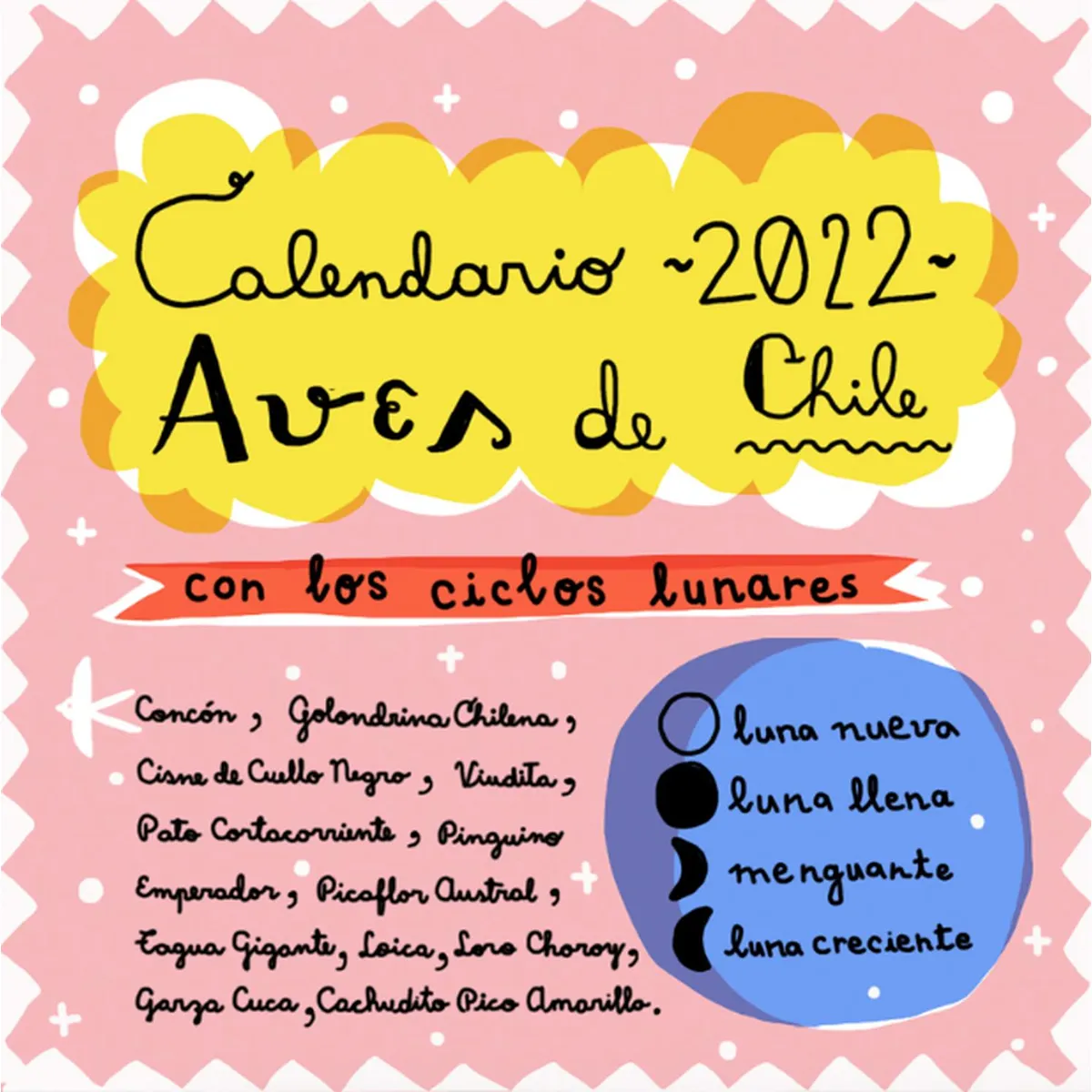 PAJARITO DE MIMBRE - Calendario 2022 Aves Pajarito de Mimbre